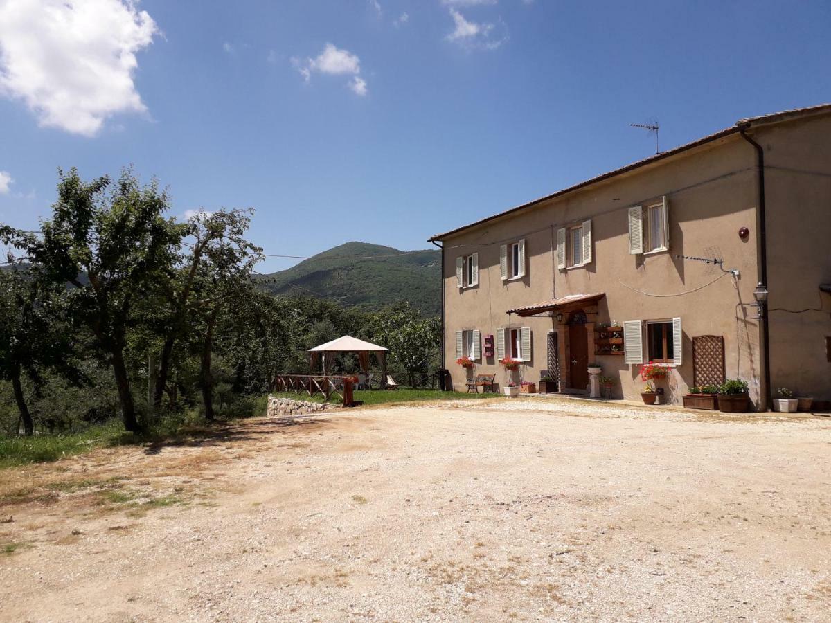 Alle Preci Country House Santa Restituta Luaran gambar